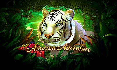 Amazon Adventure