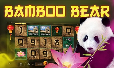 Bamboo Bear