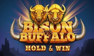 Bison vs Buffalo