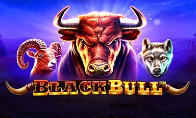 Black Bull