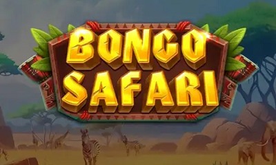 Bongo Safari