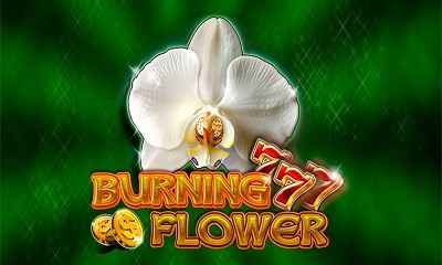 Burning Flower