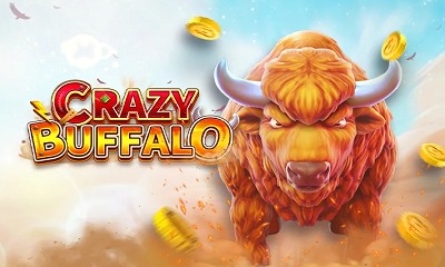Crazy Buffalo