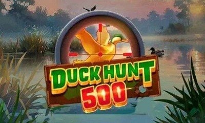 Duck Hunt 500