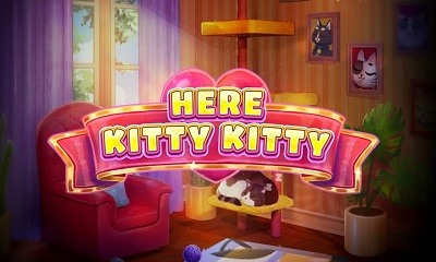 Here Kitty Kitty
