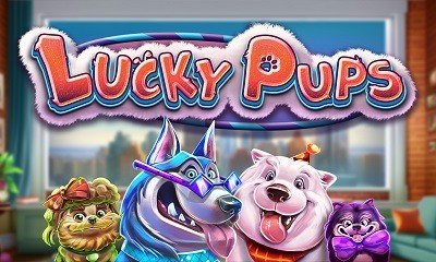 Lucky Pups