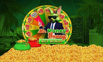 Mr. Money Bunny