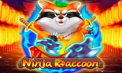 Ninja Raccoon