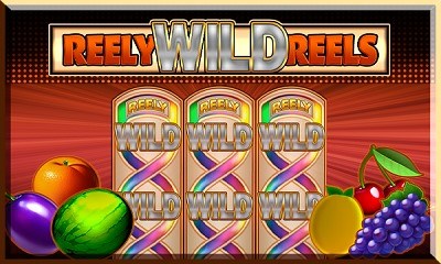 Reely Wild Reels