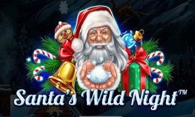 Santas Wild Night