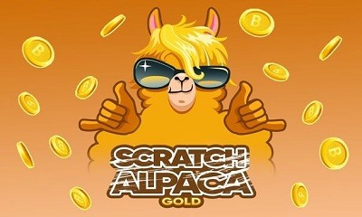 Scratch Alpaca Gold