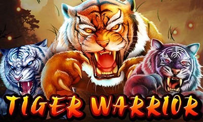 Tiger Warrior