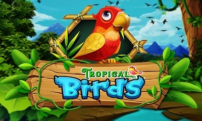 Tropical Birds