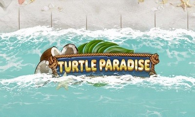 Turtle Paradise