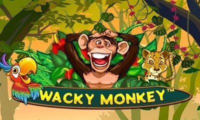Wacky Monkey