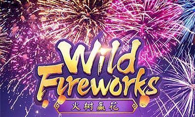 Wild Fireworks