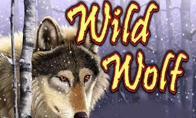 Wild Wolf